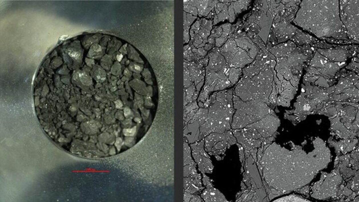 asteroidin