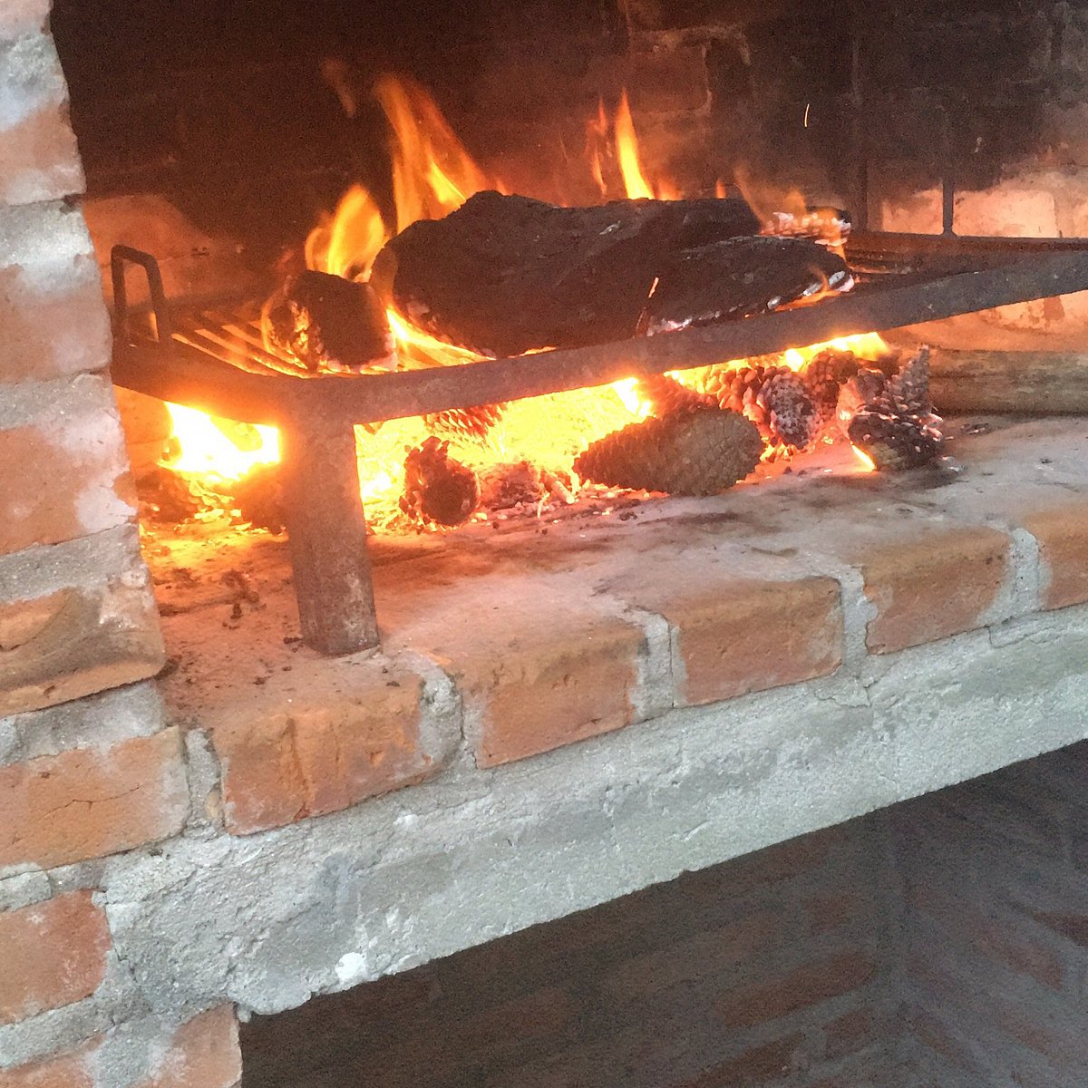 Suolaa hiiliin grillatessa: miksi monet grillimestarit käyttävät tätä menetelmää