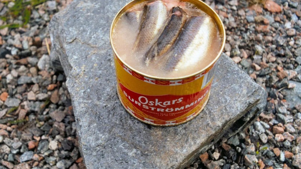 surströmming