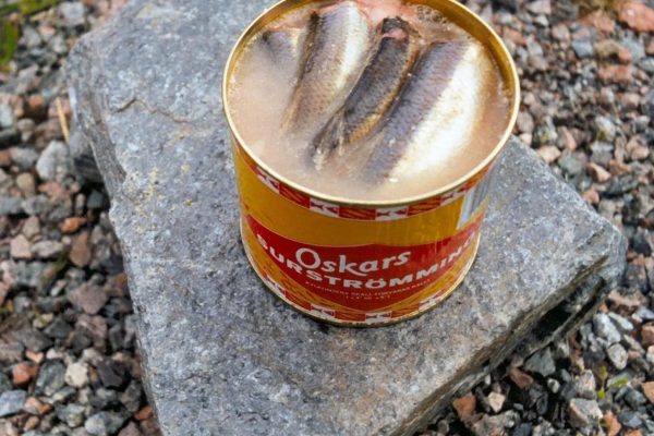 surströmming
