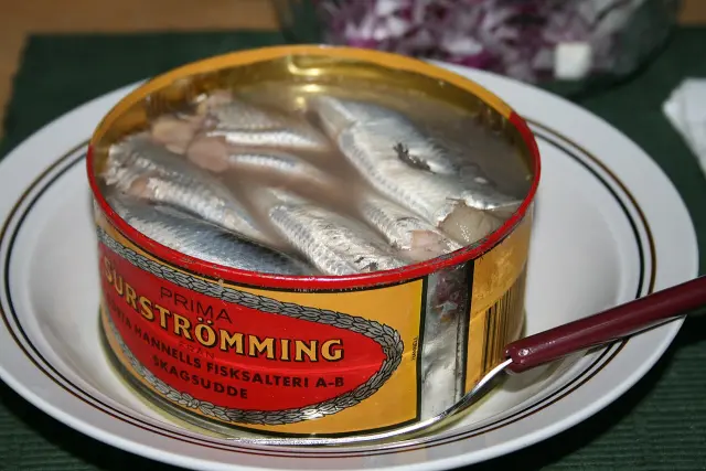 Mikä on surströmming: Maailman haisevin ruoka: ”Pakkaus on avattava ulkona”.