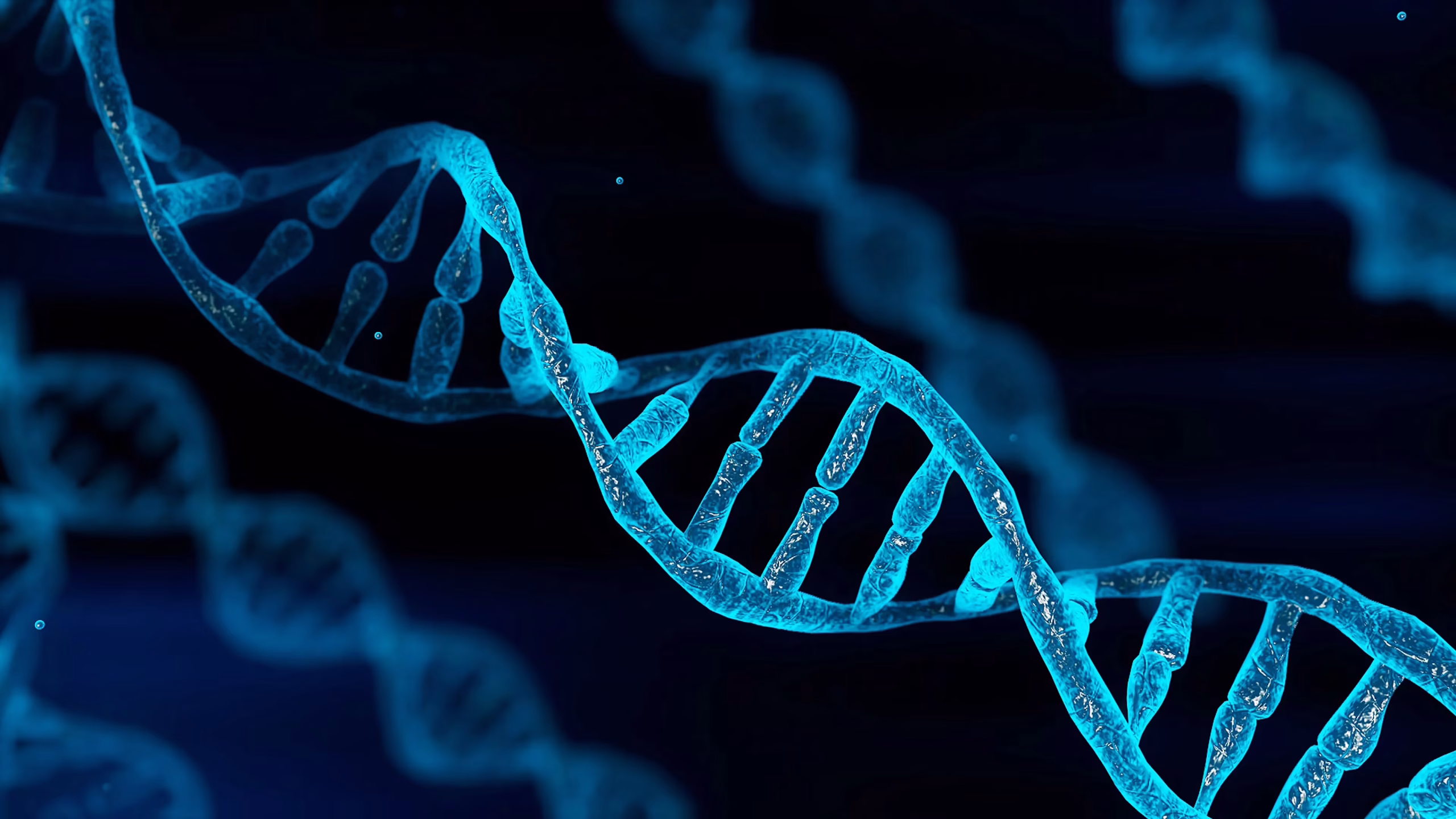 DNA-näyte on säilynyt 1500 vuotta ja valottaa maya-sivilisaation romahdusta.