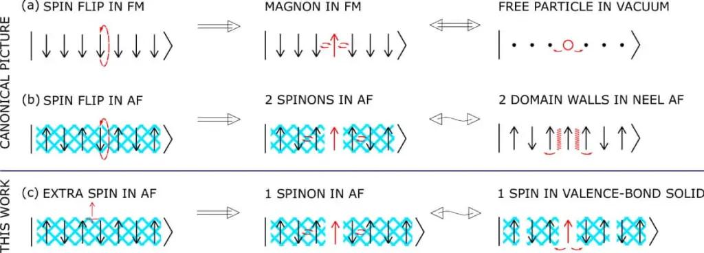 Yksittäisen kvasi-hiukkasen kvanttilöytö, joka voi muuttaa tietomme magnetismista: mikä on spinoni?
