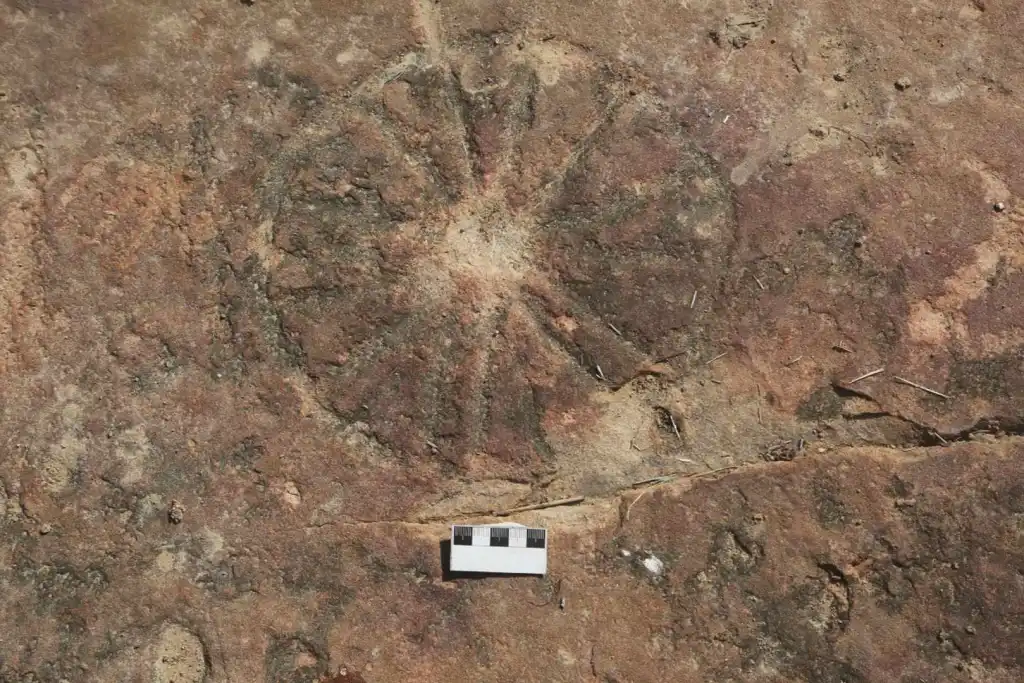 Löytö, joka hämmästytti tutkijat: dinosaurusten jälkien vierestä löydettiin 9000 vuotta vanhoja kalliopiirroksia