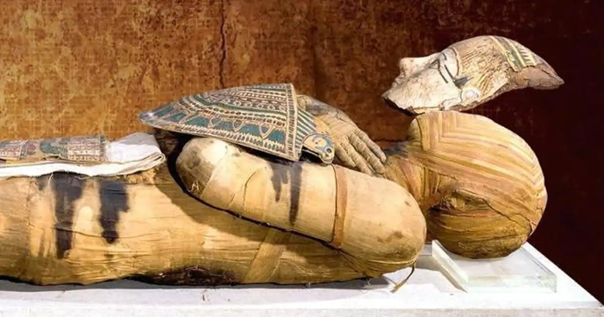 Bashiri