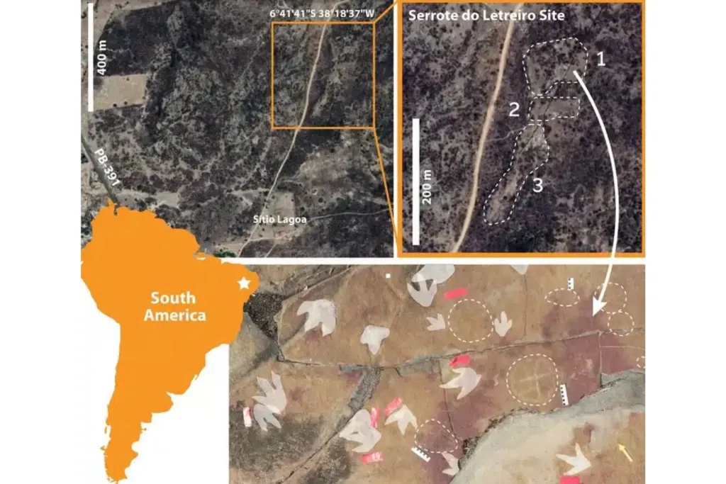 Löytö, joka hämmästytti tutkijat: dinosaurusten jälkien vierestä löydettiin 9000 vuotta vanhoja kalliopiirroksia